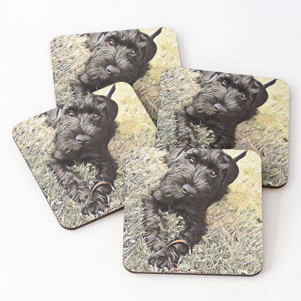 Item preview,  Affenpinscher Dog Sunrise Park Print designed and sold by TheWildFlix.