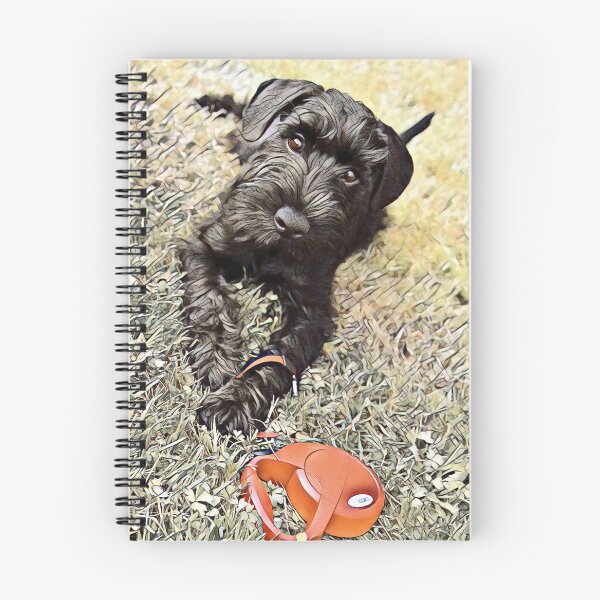 Item preview,  Affenpinscher Dog Sunrise Park Print designed and sold by TheWildFlix.