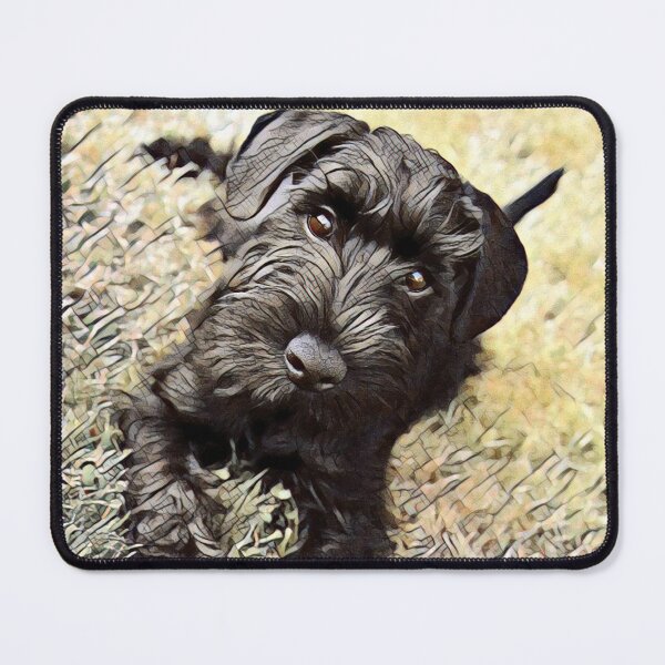 Item preview, Affenpinscher Dog Sunrise Park Print designed and sold by TheWildFlix.