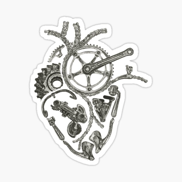 Cœur cycliste anatomique Sticker