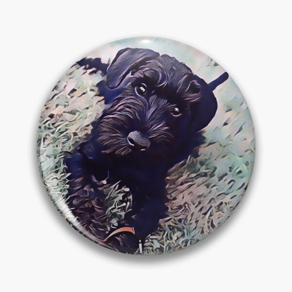 Item preview, Affenpinscher Dog Evening Park Print designed and sold by TheWildFlix.