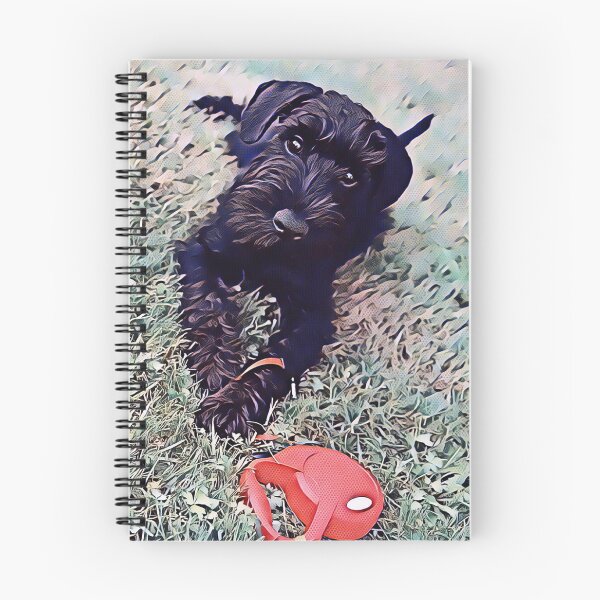 Item preview, Affenpinscher Dog Evening Park Print designed and sold by TheWildFlix.