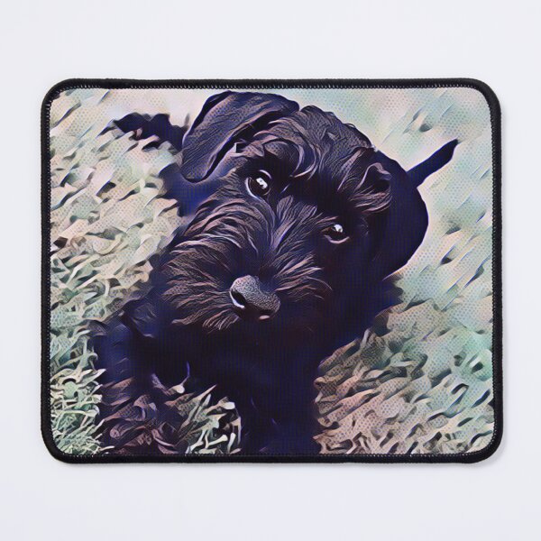 Item preview, Affenpinscher Dog Evening Park Print designed and sold by TheWildFlix.