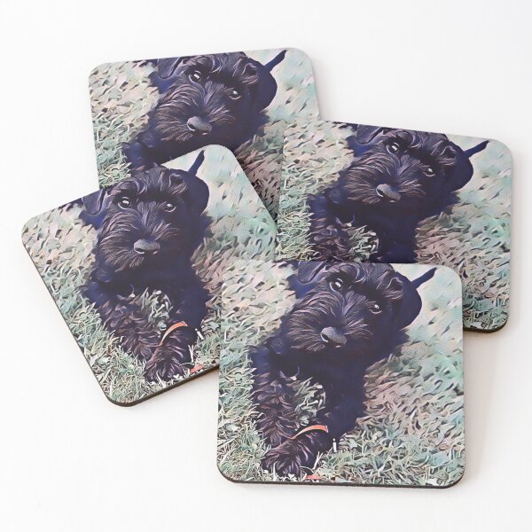 Item preview, Affenpinscher Dog Evening Park Print designed and sold by TheWildFlix.