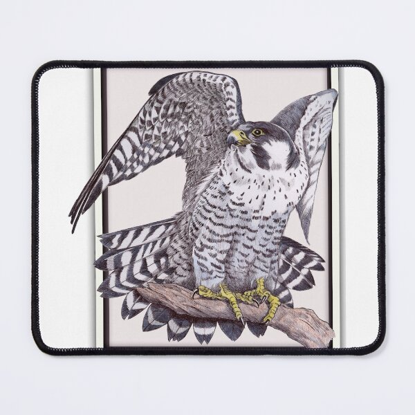 Item preview, Peregrine Falcon designed and sold by javilinares.