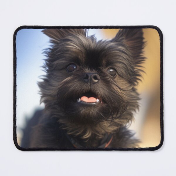 Item preview, Playful Affenpinscher Dog Print designed and sold by TheWildFlix.