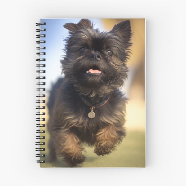 Item preview, Playful Affenpinscher Dog Print designed and sold by TheWildFlix.