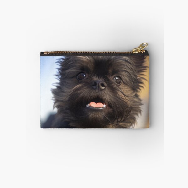Item preview, Playful Affenpinscher Dog Print designed and sold by TheWildFlix.