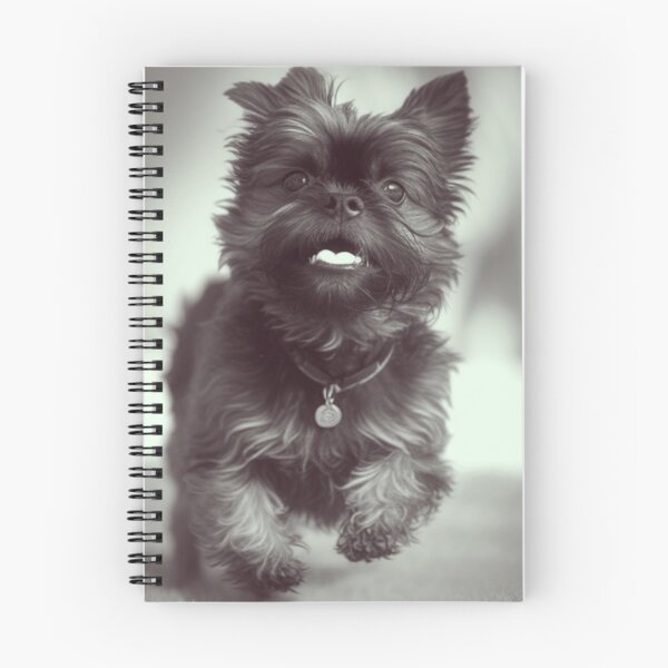 Item preview, B&W Playful Affenpinscher Dog Print designed and sold by TheWildFlix.
