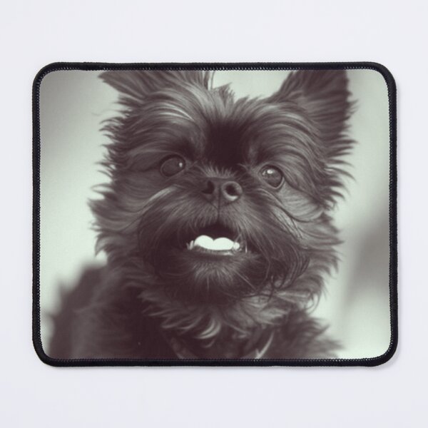 Item preview, B&W Playful Affenpinscher Dog Print designed and sold by TheWildFlix.