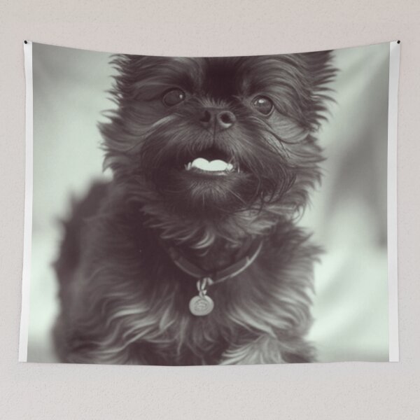 Item preview, B&W Playful Affenpinscher Dog Print designed and sold by TheWildFlix.