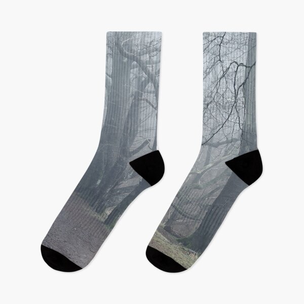 Item preview, Foggy Path, Kinnoull Hill designed and sold by ShinyPhoto.