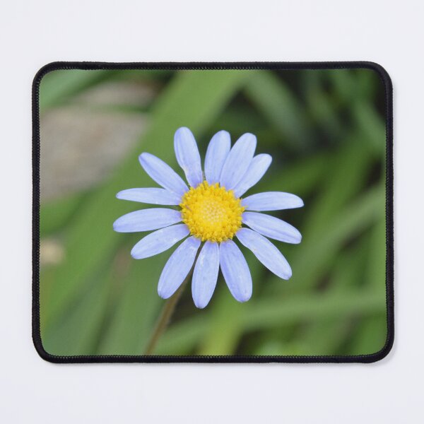 Item preview, Pretty Little Daisy designed and sold by By-Danni-Marie.
