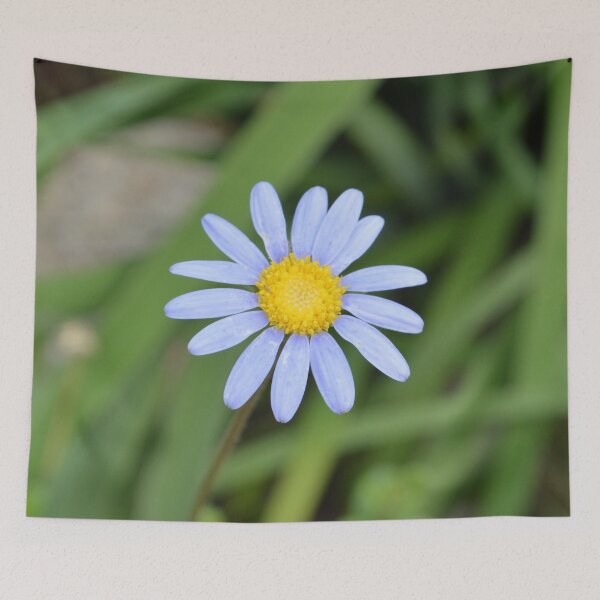 Item preview, Pretty Little Daisy designed and sold by By-Danni-Marie.