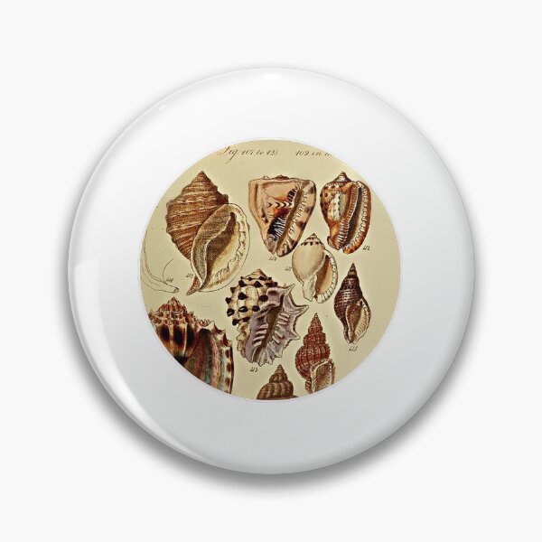 Item preview, Conch Shells designed and sold by Baroque894.