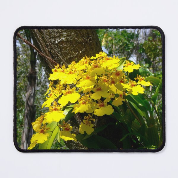 Item preview, Yellow Growing Vines designed and sold by Monika's Shop.