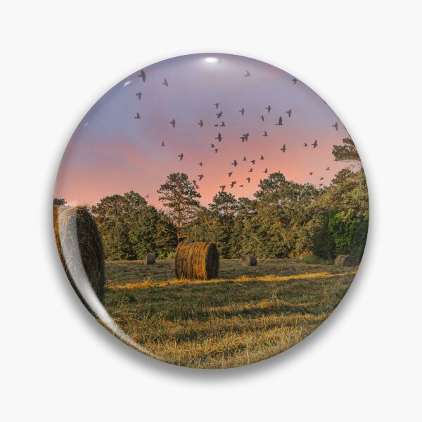 Item preview, Rolls of Hay in Late Afternoon Sun designed and sold by dbvirago.