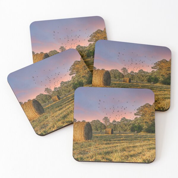 Item preview, Rolls of Hay in Late Afternoon Sun designed and sold by dbvirago.