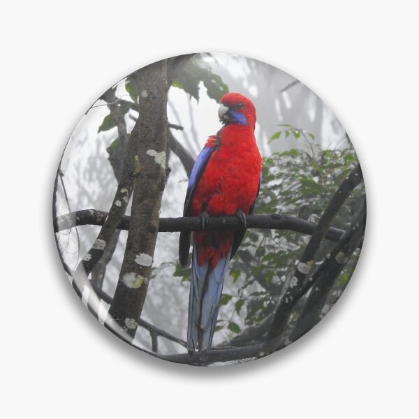 Item preview, Crimson Rosella designed and sold by AussieAl.