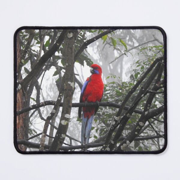 Item preview, Crimson Rosella designed and sold by AussieAl.