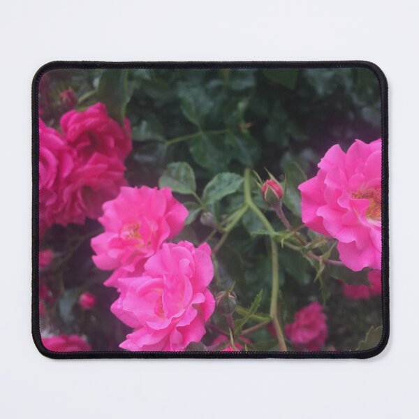 Item preview, Surviving designed and sold by SnappedbyRivka.
