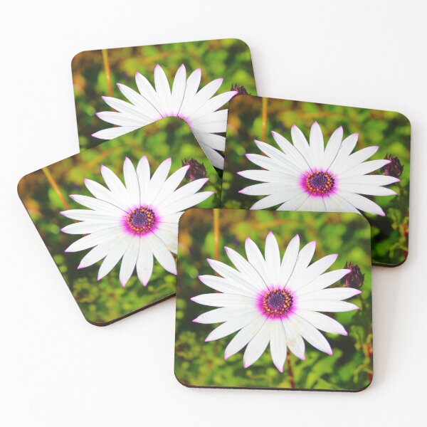 Item preview, White Daisy designed and sold by Andykinoz.