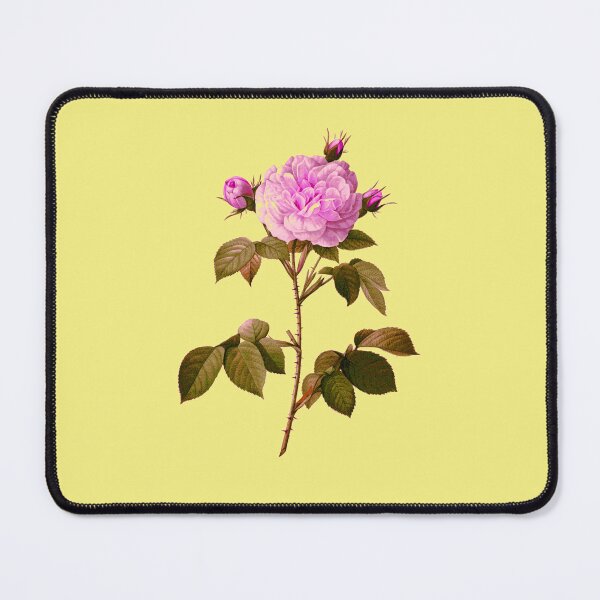 Item preview, Cabbage rose - provence rose designed and sold by pinkyfish1010.
