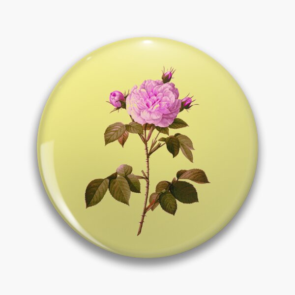 Item preview, Cabbage rose - provence rose designed and sold by pinkyfish1010.