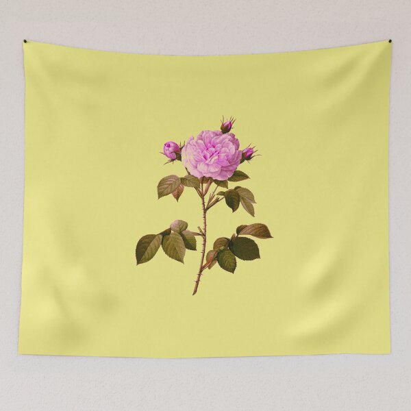 Item preview, Cabbage rose - provence rose designed and sold by pinkyfish1010.