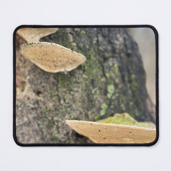 Item preview, Mushroom luv designed and sold by Easeyamind.