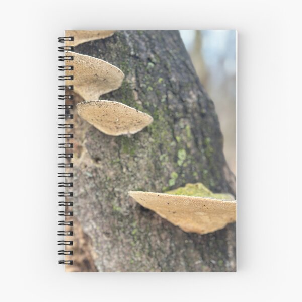 Item preview, Mushroom luv designed and sold by Easeyamind.