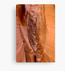 Zebra Slot Metal Print