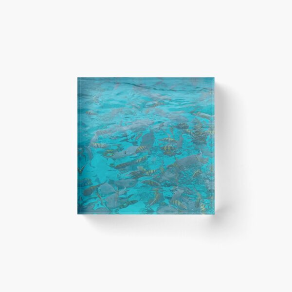 Item preview, Sea designed and sold by ModernL2020.