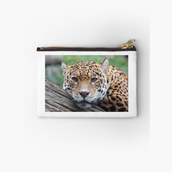 Item preview, Jaguar stare designed and sold by Bryan Hynd.