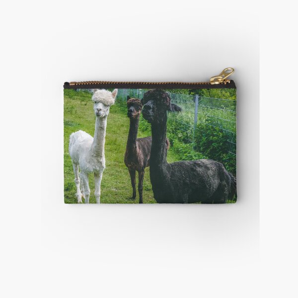 Item preview, Group of Alpaca designed and sold by wklize.