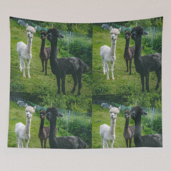 Item preview, Group of Alpaca designed and sold by wklize.