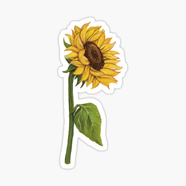 A Single Booming Sun Flower Sticker