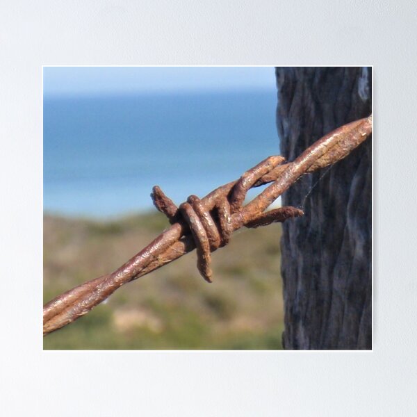 Item preview, Barbed Wire designed and sold by Andykinoz.