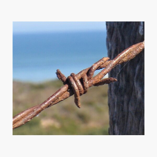 Item preview, Barbed Wire designed and sold by Andykinoz.