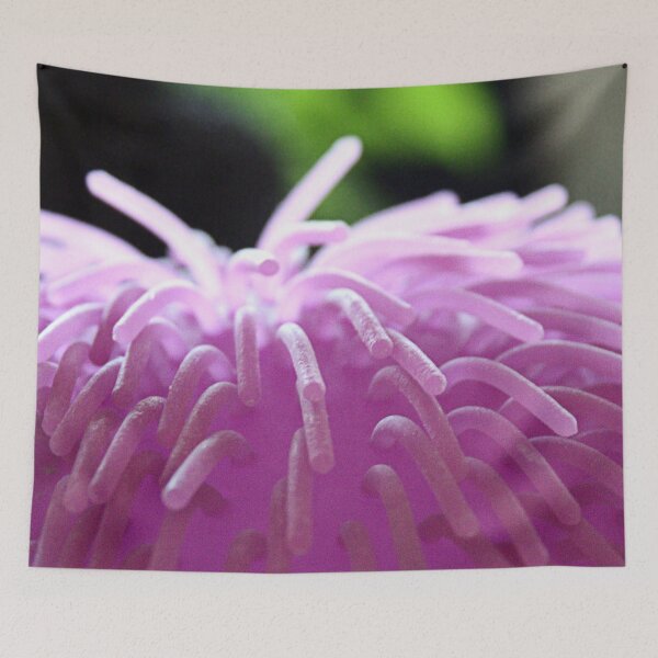 Item preview, SWEET SOFTNESS designed and sold by Nikola Eftimov.