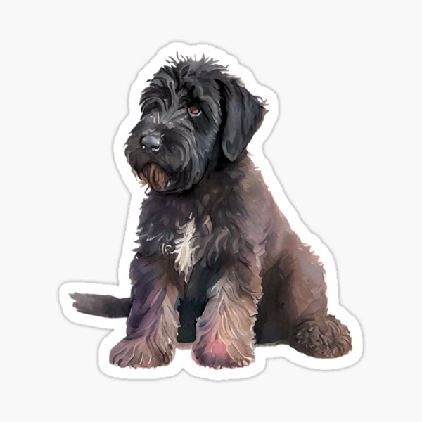 Black Russian Terrier Puppy Sticker