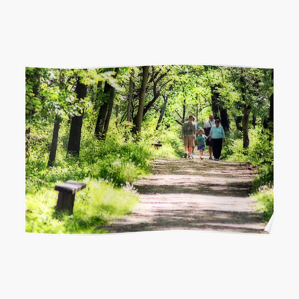 A WALK IN THE WOODS Poster