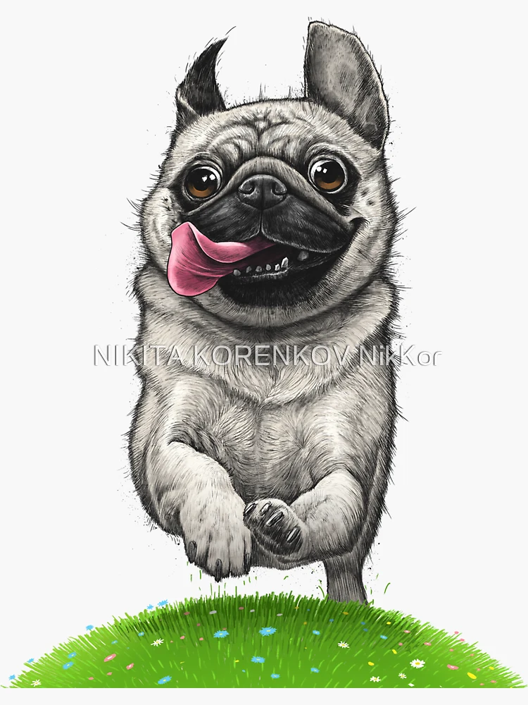 Pug boxer Sticker for Sale by NIKITA KORENKOV NikKor