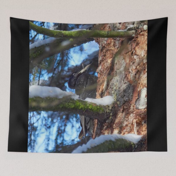 Item preview, Working hours. Black woodpecker designed and sold by Jouko Lehto Photography.