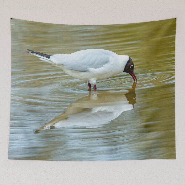 Item preview, Black Headed Gull Reflections designed and sold by Dalyndigital Photography.