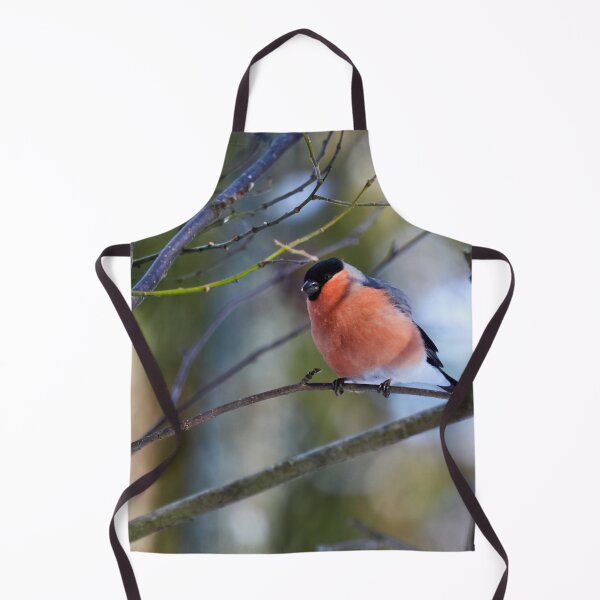 Item preview, Getting some sun. Eurasian bullfinch designed and sold by Jouko Lehto Photography.