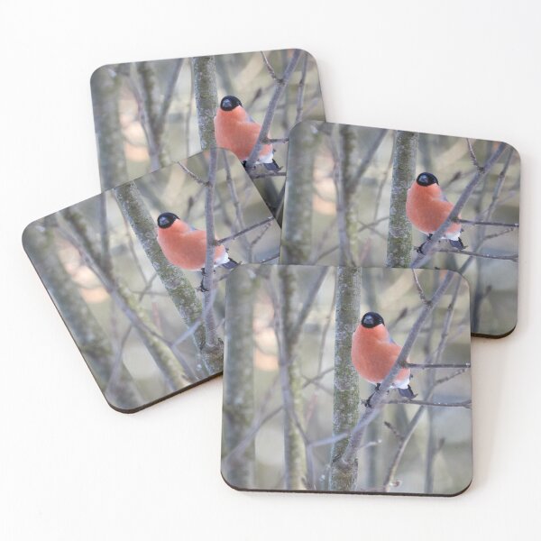 Item preview, In the soft light. Eurasian bullfinch designed and sold by Jouko Lehto Photography.