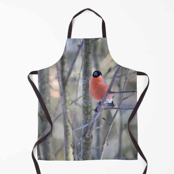 Item preview, In the soft light. Eurasian bullfinch designed and sold by Jouko Lehto Photography.