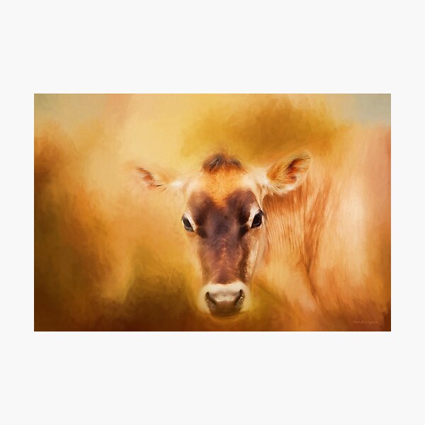 Jersey Cow Portrait Photograph by Michelle Wrighton - Fine Art America