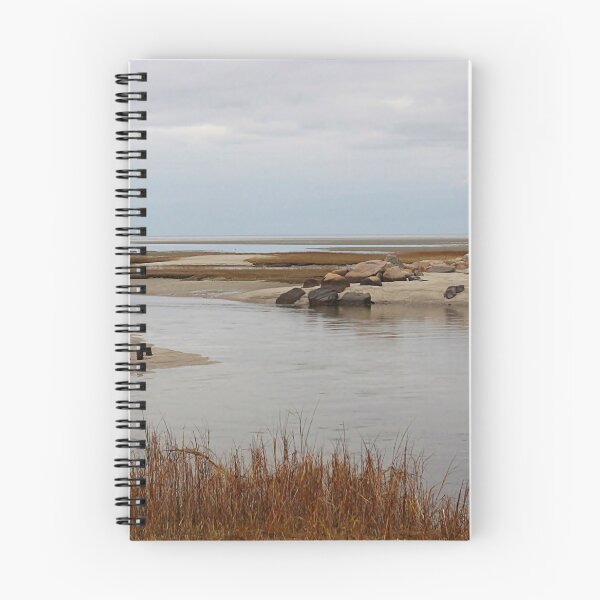 Item preview, Marsh and tidal flats on Cape Cod Bay designed and sold by Linda Crockett.